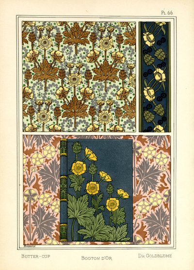 The Buttercup by A. Poidevin